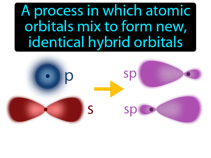 Hybridization Definition Hybridization Definition