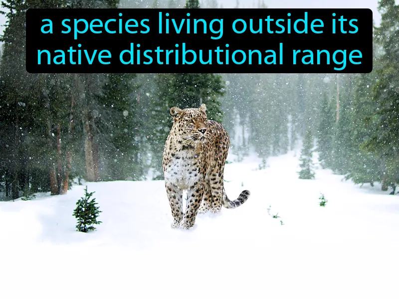 Non-native Species Definition Non-native Species Definition