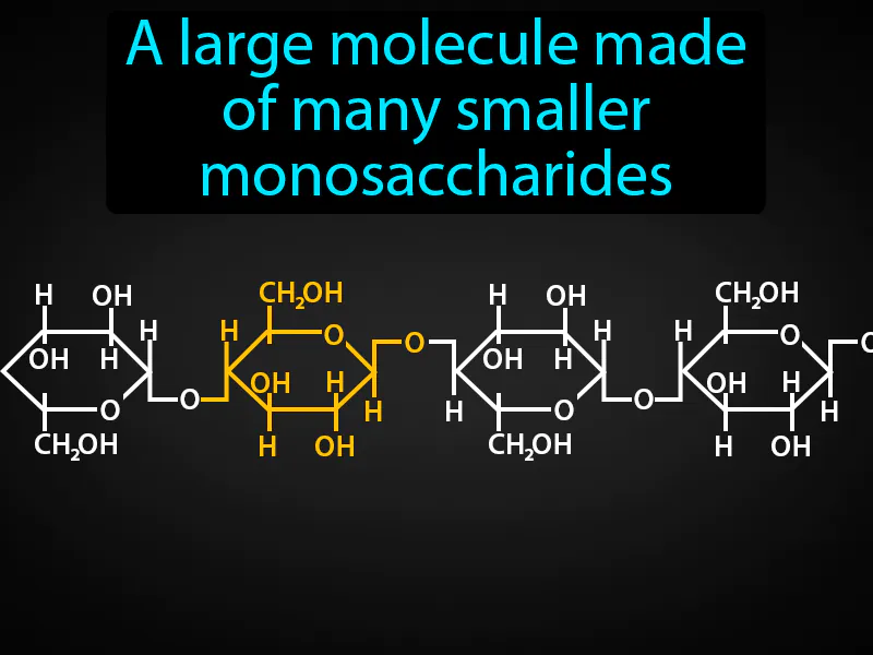 Polysaccharide Definition