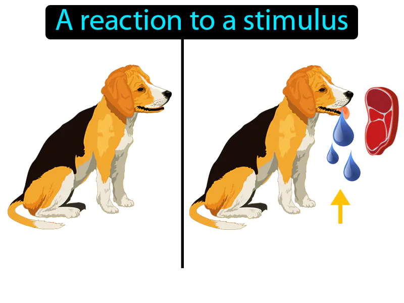 Response Definition Response Definition