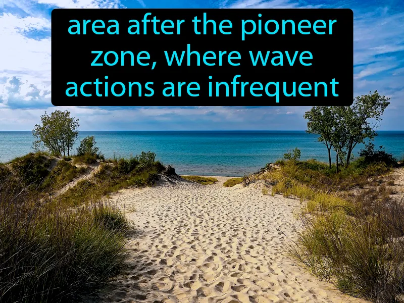 Scrub Zone Definition