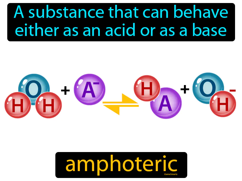 Amphoteric Definition Amphoteric Definition