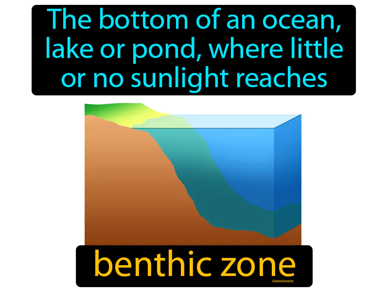 Benthic Zone Definition Benthic Zone Definition