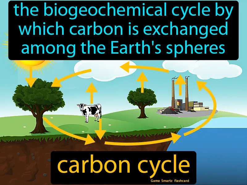 Carbon Cycle Definition Carbon Cycle Definition