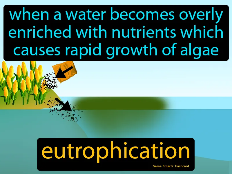 Eutrophication Definition Eutrophication Definition