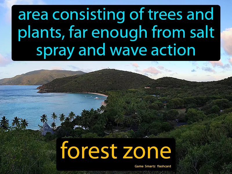 Forest Zone Definition Forest Zone Definition