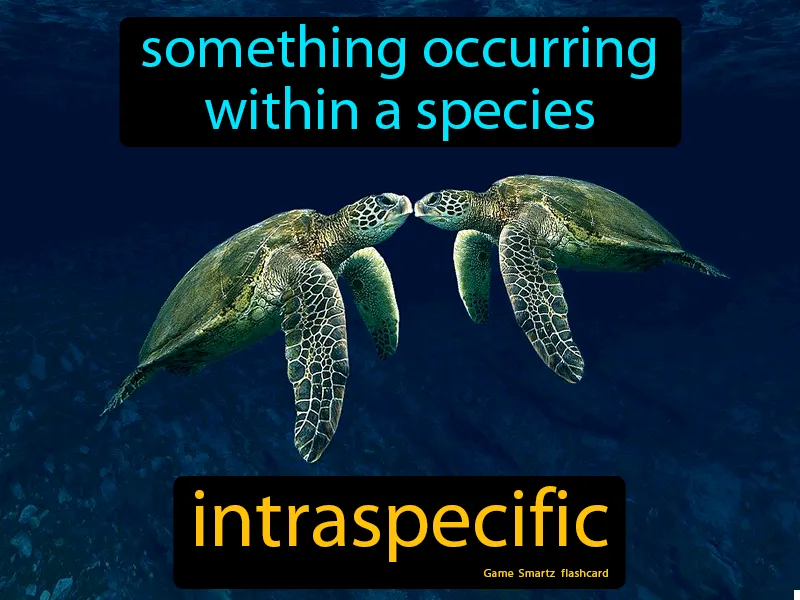 Intraspecific Definition Intraspecific Definition