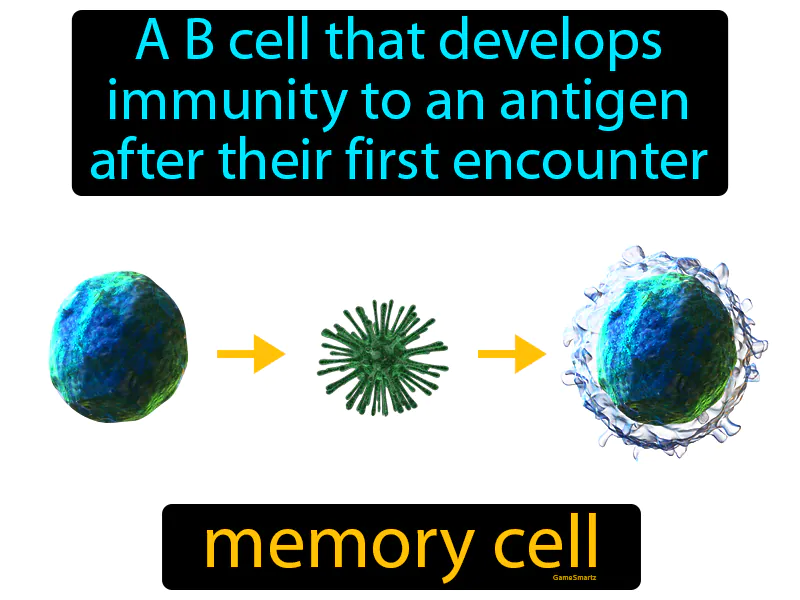 Memory Cell Definition Memory Cell Definition