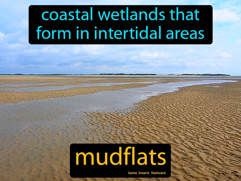 Mudflats Definition Mudflats Definition
