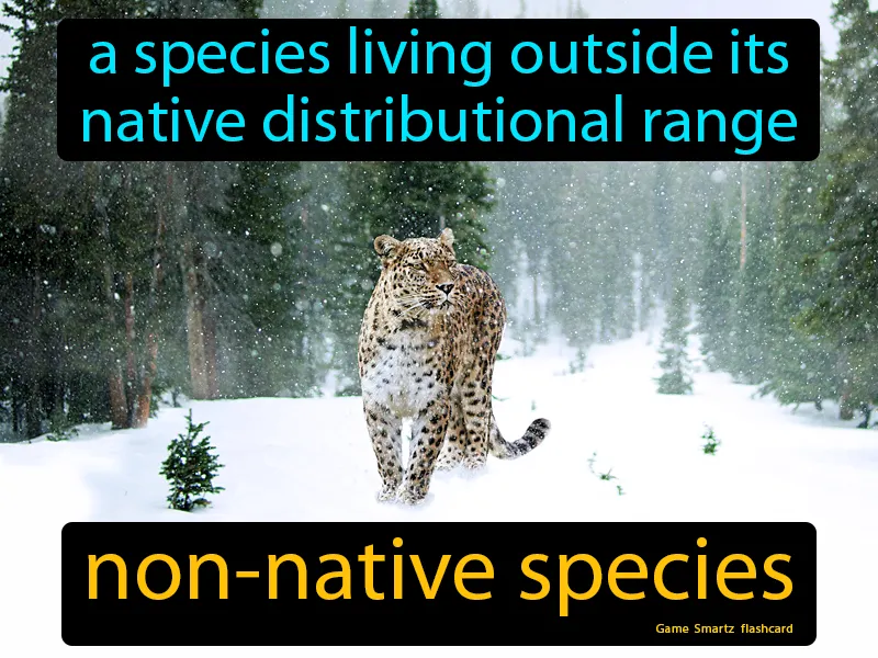 Non-native Species Definition Non-native Species Definition
