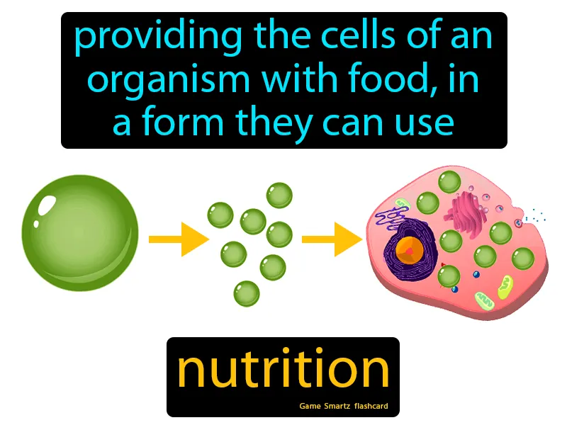 Nutrition Definition Nutrition Definition