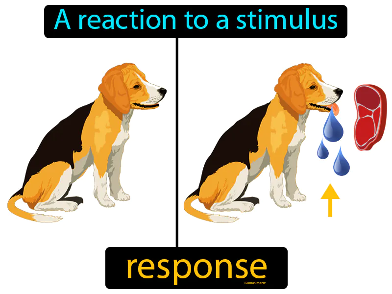 Response Definition Response Definition