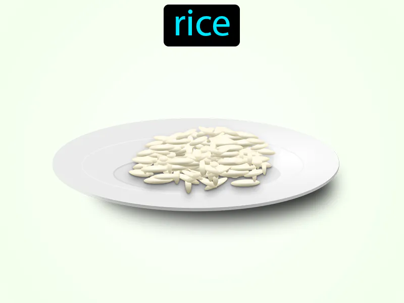 El Arroz Definition El Arroz Definition