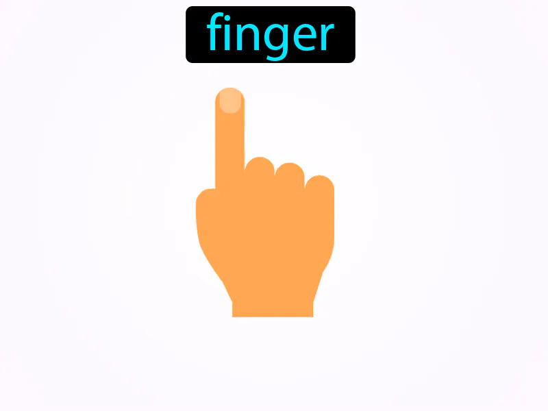 El Dedo Definition El Dedo Definition