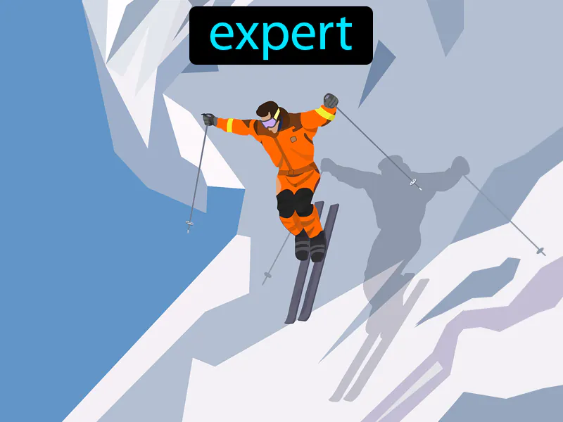 El Experto Definition