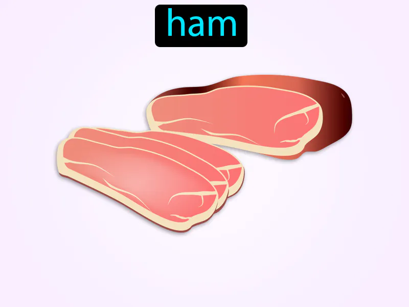El Jamon Definition El Jamon Definition