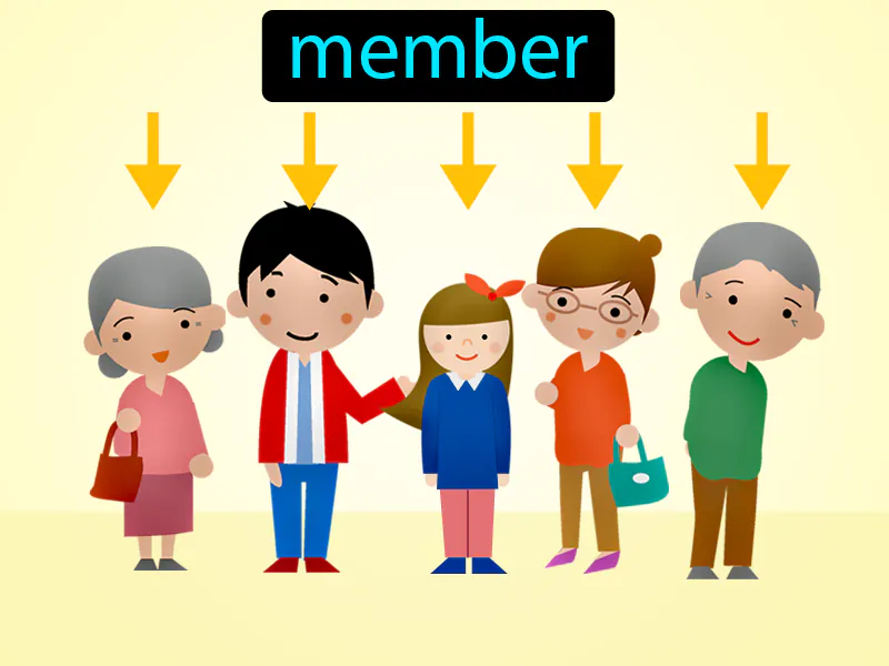 El Miembro Definition