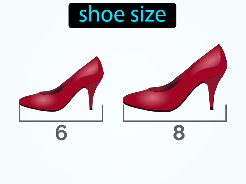 El Numero Definition