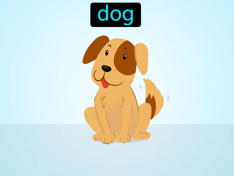 El Perro Definition El Perro Definition