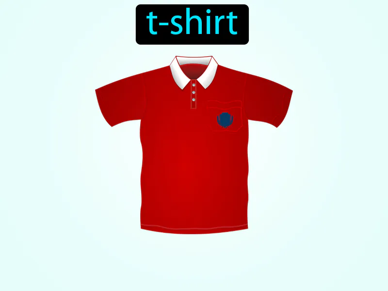 La Camisa Definition La Camisa Definition