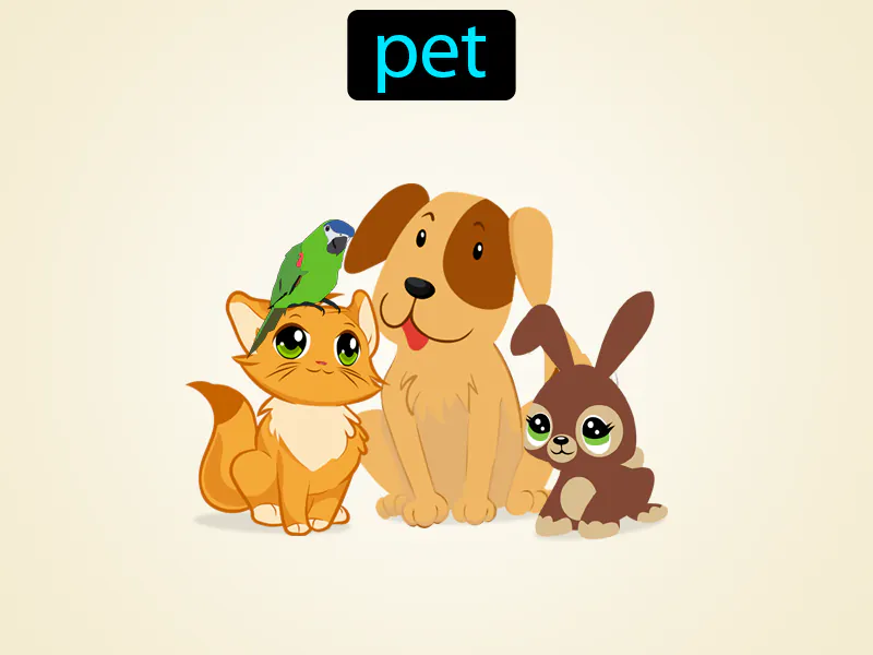 La Mascota Definition