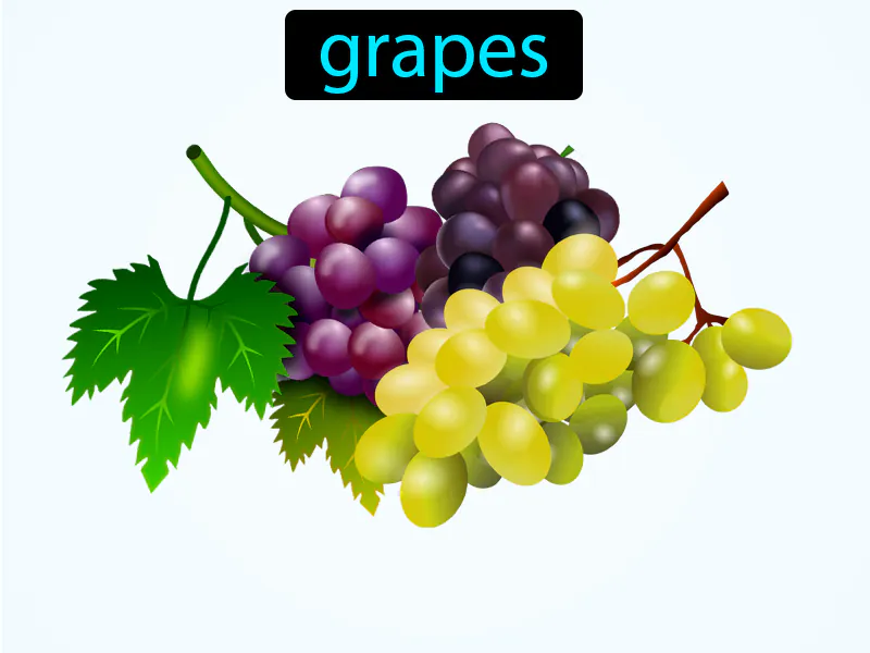 Las Uvas Definition Las Uvas Definition