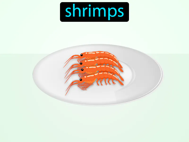 Los Camarones Definition Los Camarones Definition