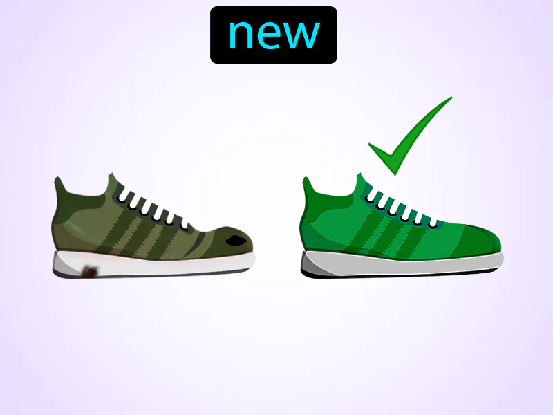 Nuevo Definition Nuevo Definition